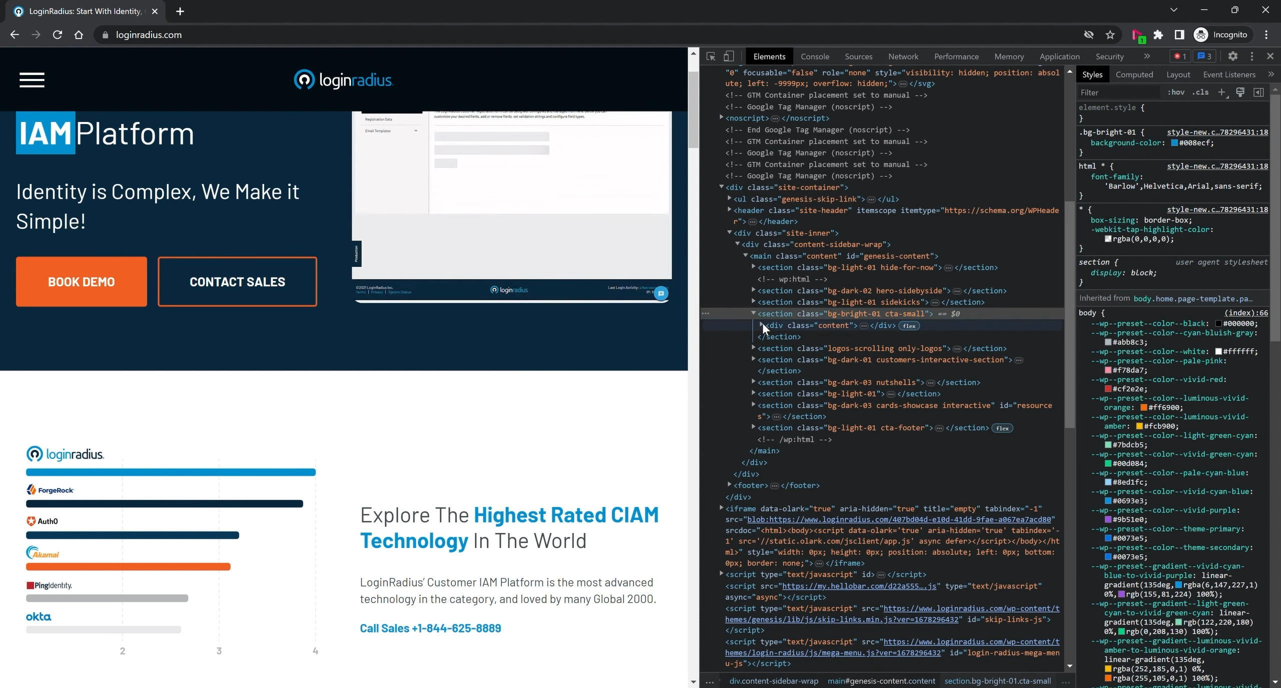 LoginRadius.com Screenshot