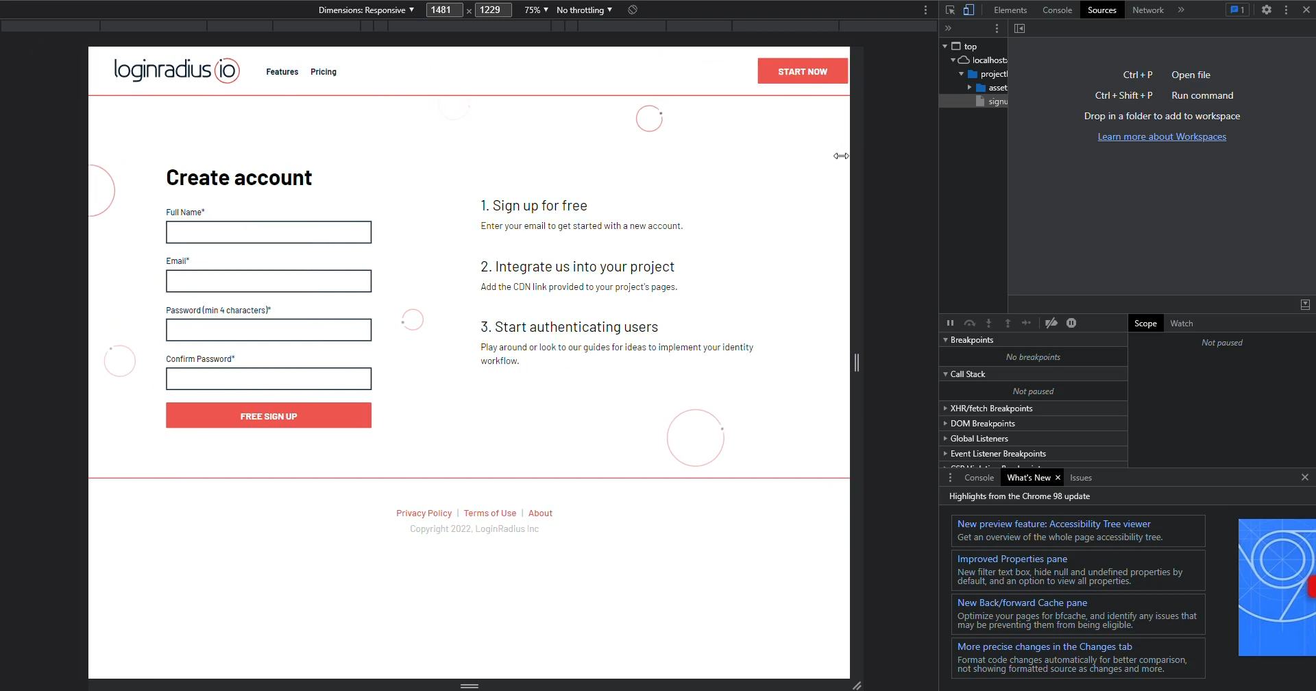 LoginRadius.io Screenshot