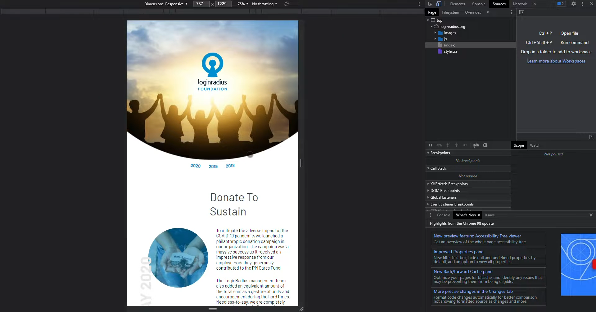 LoginRadius.org Screenshot